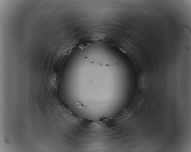 X0000101110280200807031747