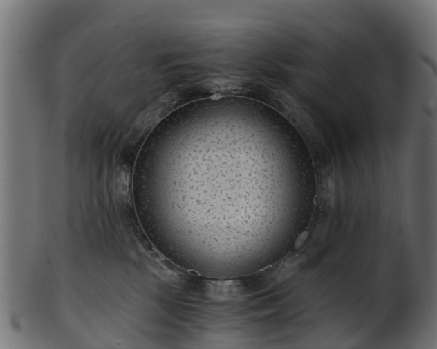 X0000101110281200807031747
