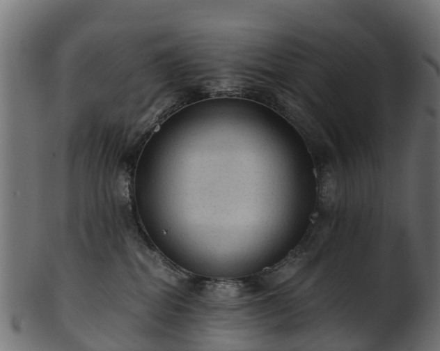 X0000101110282200807031747