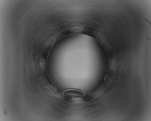 X0000101110283200807031747