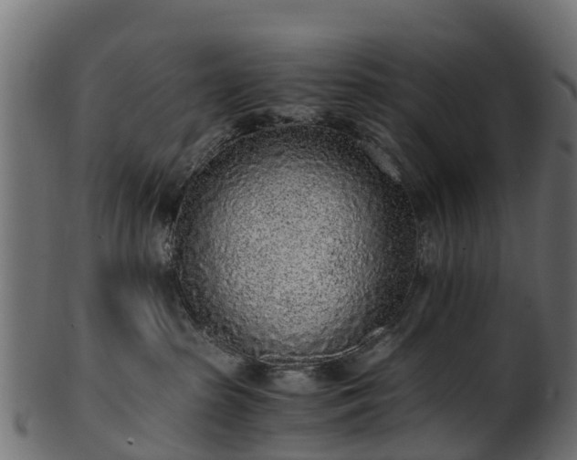 X0000101110285200807031747