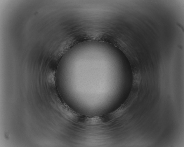 X0000101110286200807031747