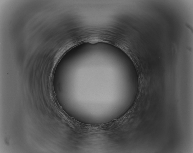 X0000101110289200807031746