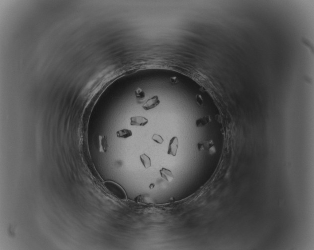 X0000101110290200807031746