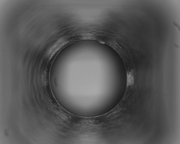 X0000101110291200807031746