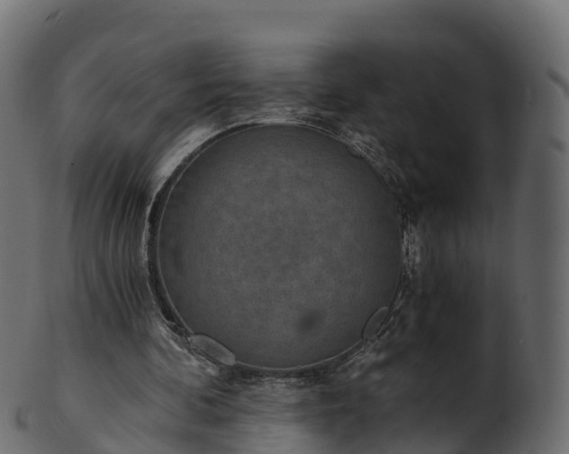 X0000101110292200807031746
