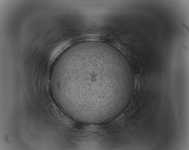X0000101110293200807031746