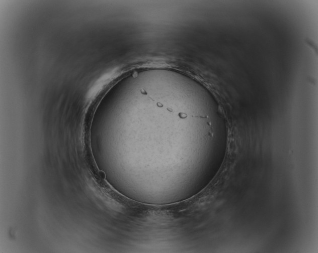 X0000101110296200807031746