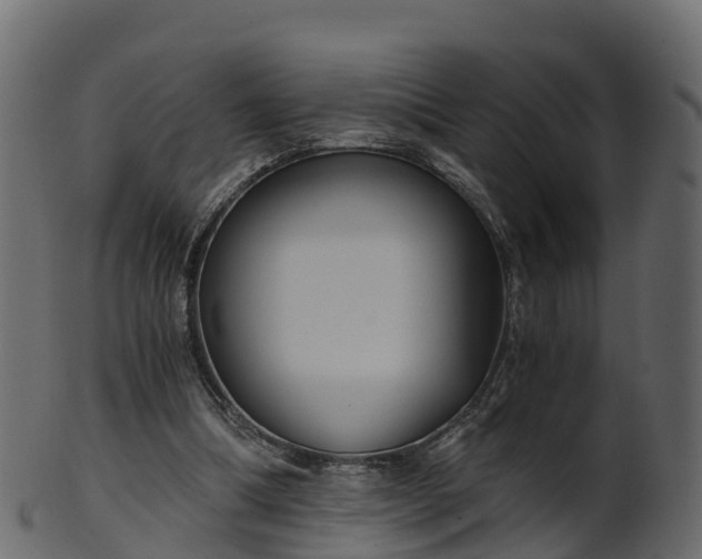X0000101110298200807031746
