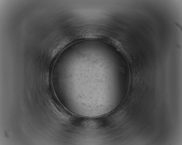 X0000101110299200807031746