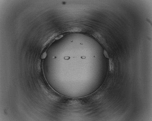 X0000101110300200807031746