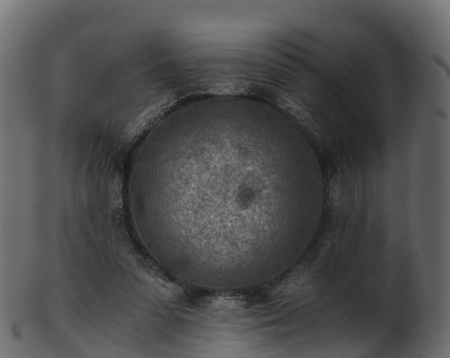 X0000101110303200807031746