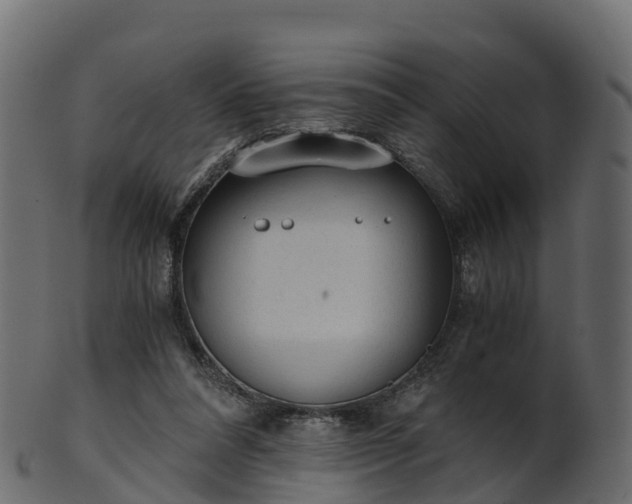 X0000101110304200807031746