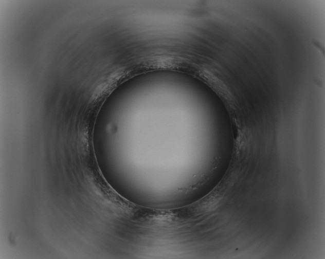 X0000101110306200807031746