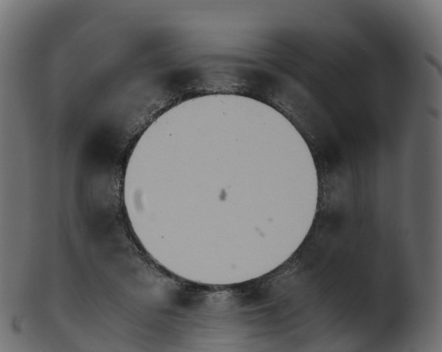 X0000101110309200807031746