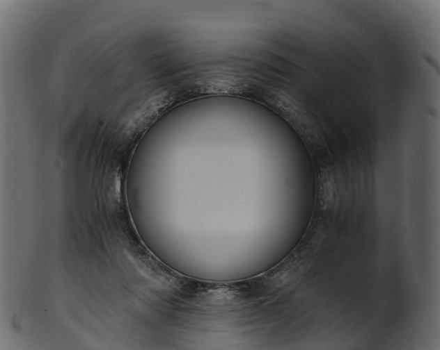 X0000101110310200807031746