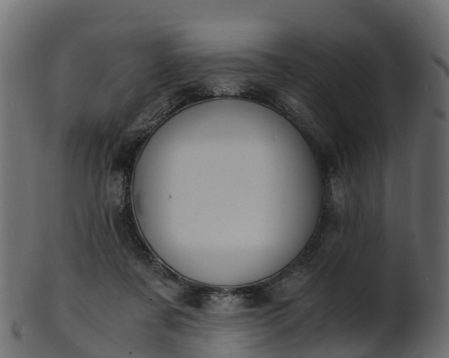 X0000101110311200807031746