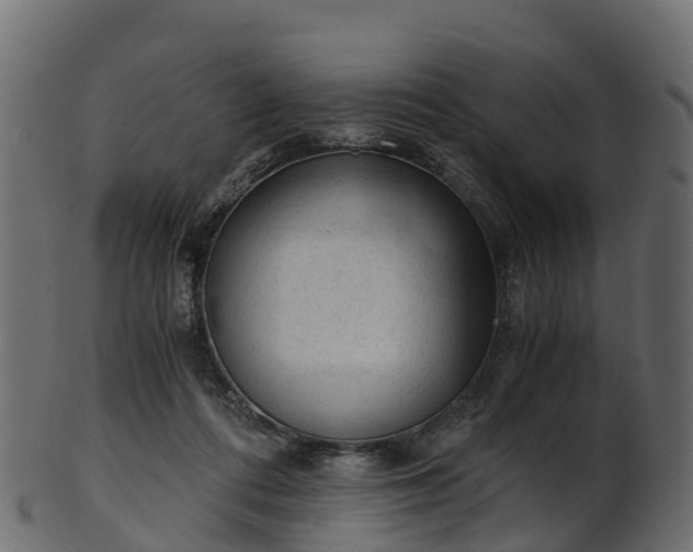 X0000101110312200807031746