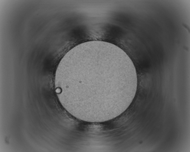 X0000101110313200807031746