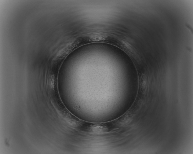 X0000101110315200807031746