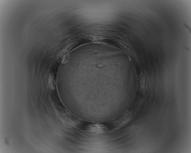 X0000101110316200807031746