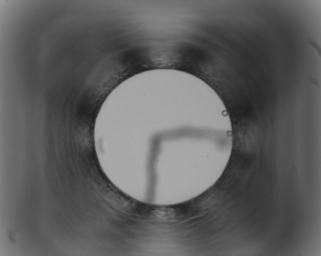 X0000101110317200807031746