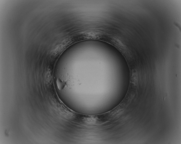 X0000101110318200807031746