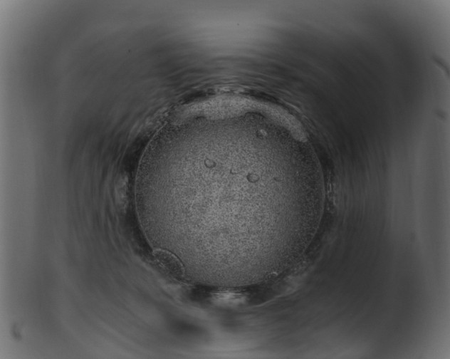 X0000101110319200807031746
