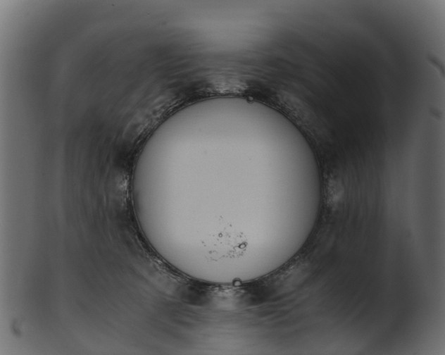 X0000101110321200807031746