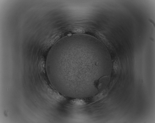 X0000101110322200807031746