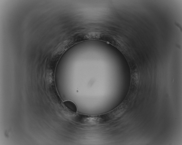 X0000101110323200807031746