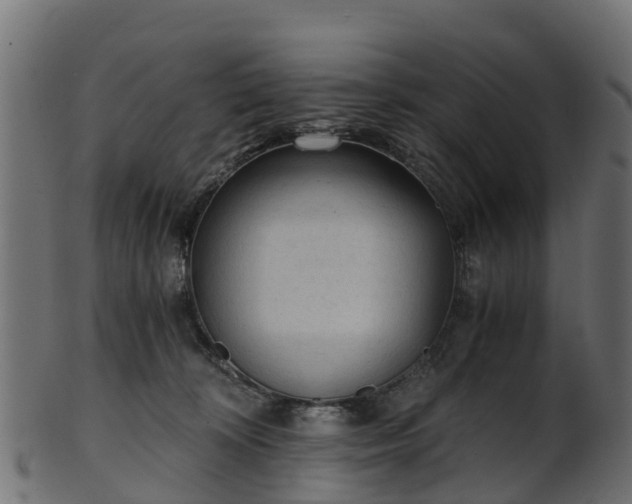 X0000101110324200807031746