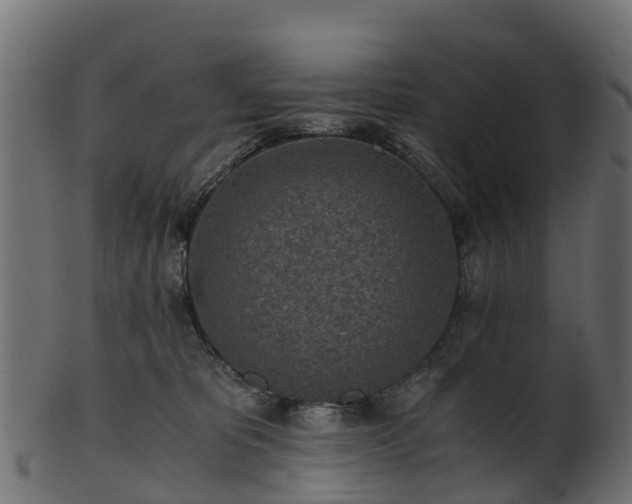 X0000101110325200807031746