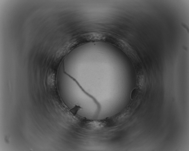 X0000101110326200807031746