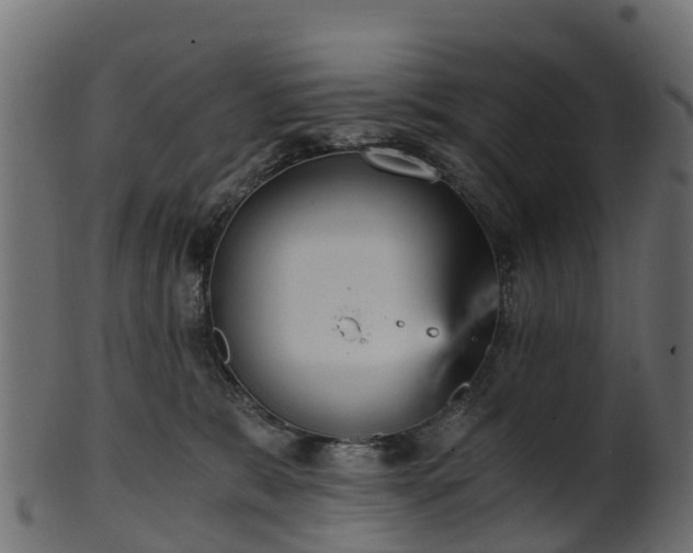 X0000101110327200807031745