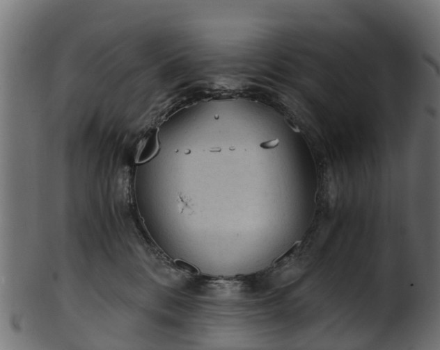 X0000101110328200807031745