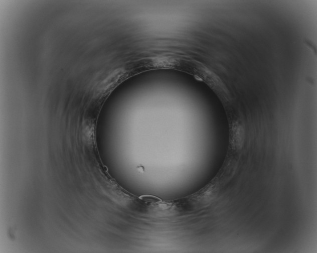 X0000101110329200807031745