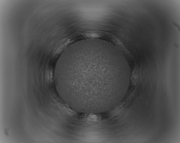 X0000101110330200807031745