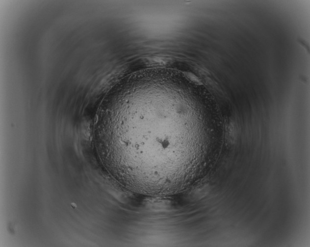 X0000101110331200807031745
