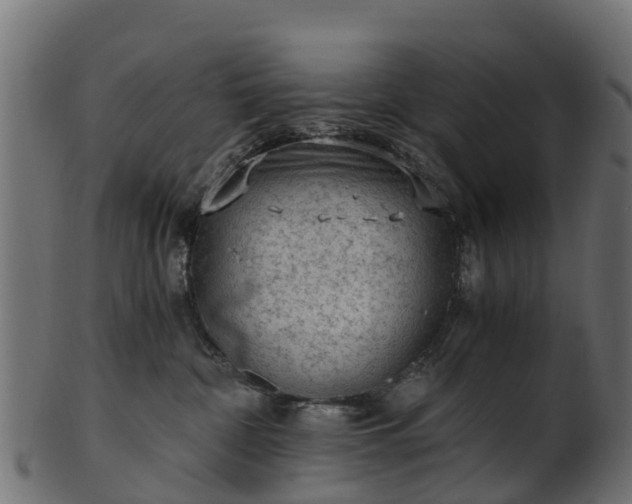 X0000101110332200807031745