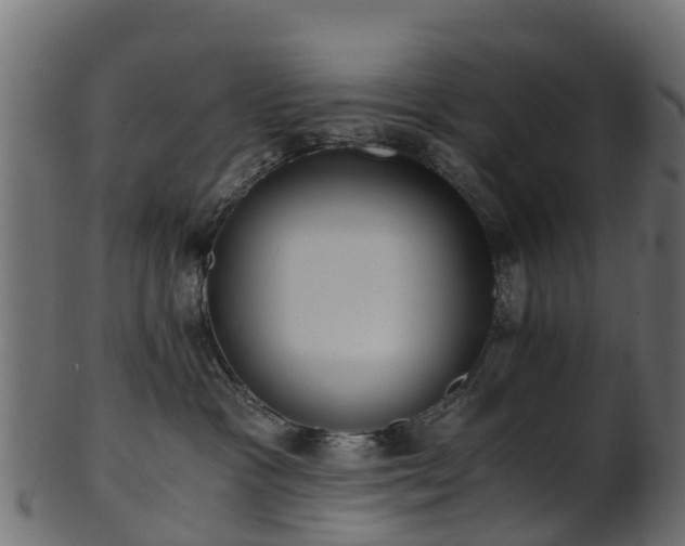 X0000101110333200807031745