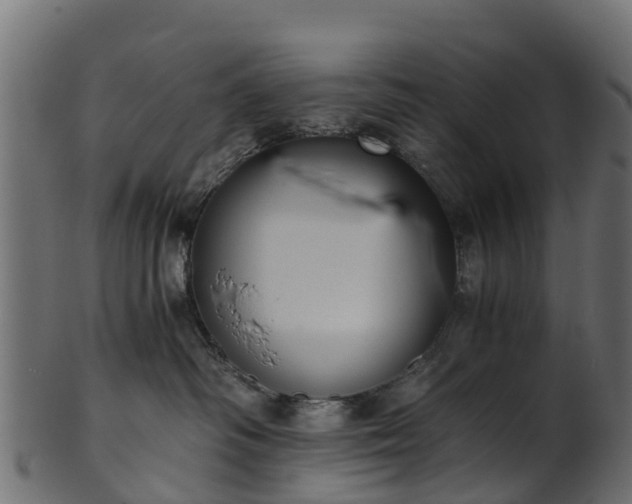 X0000101110334200807031745