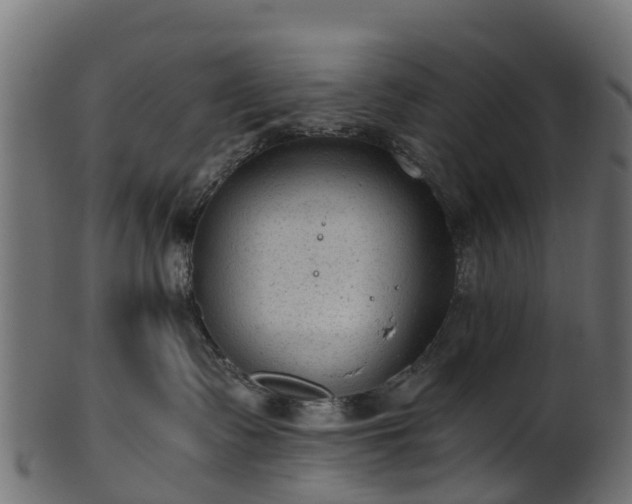 X0000101110335200807031745