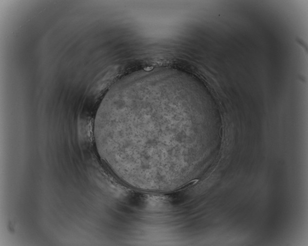X0000101110336200807031745