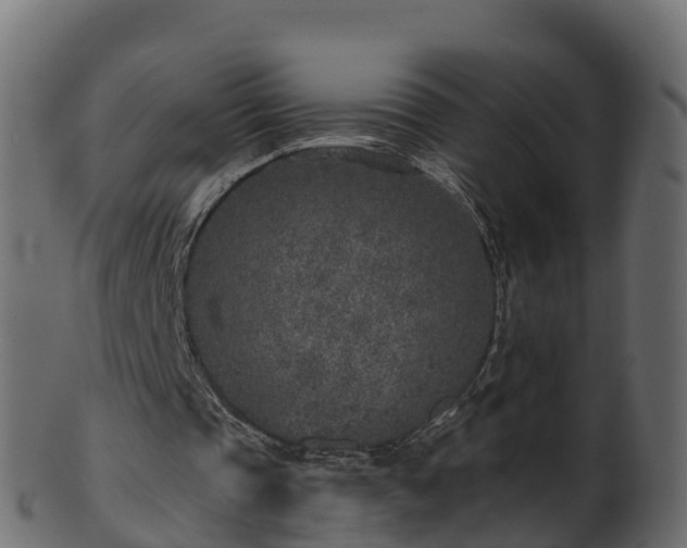 X0000101110337200807031745