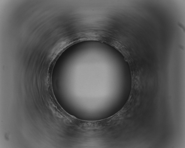 X0000101110338200807031745