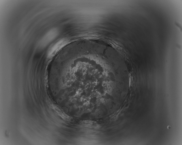 X0000101110339200807031745