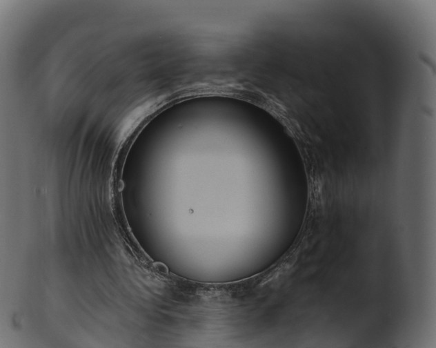 X0000101110340200807031745