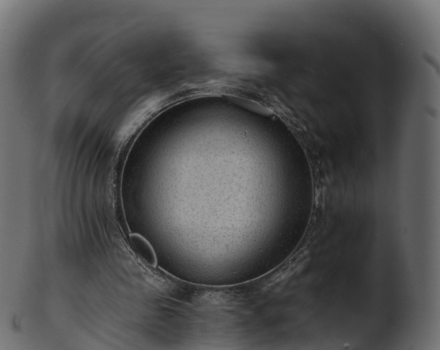 X0000101110341200807031745
