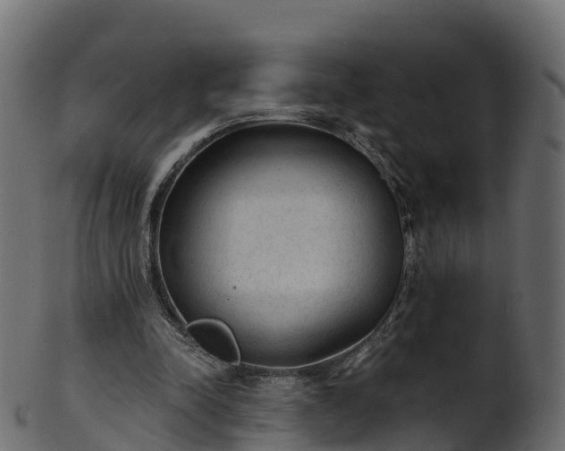 X0000101110342200807031745